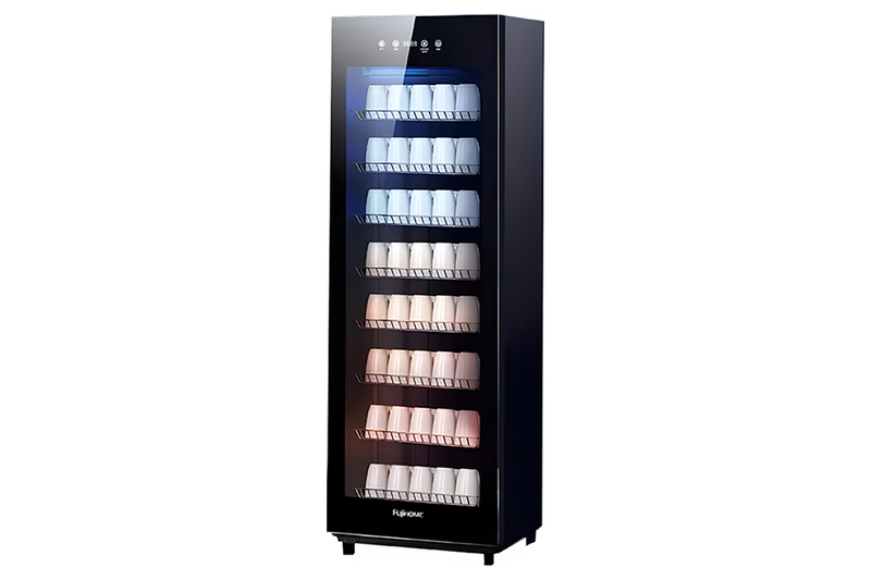 Máy sấy bát độc lập Fujihome DD220 (hình 1)