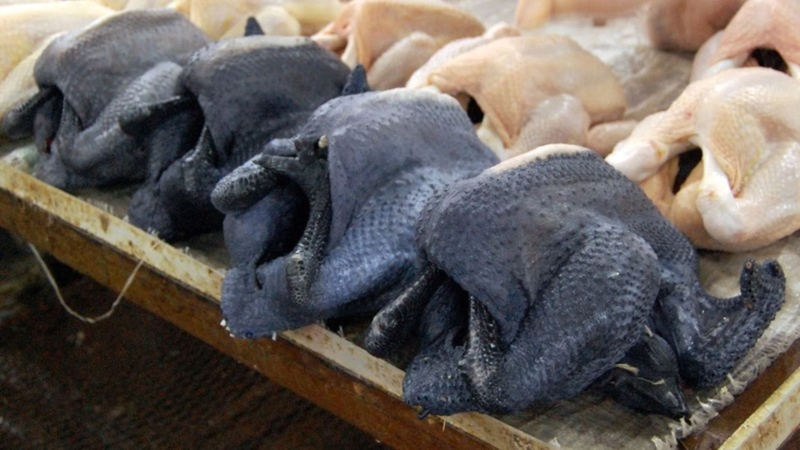 Lợi ích của món gà ác luộc sả