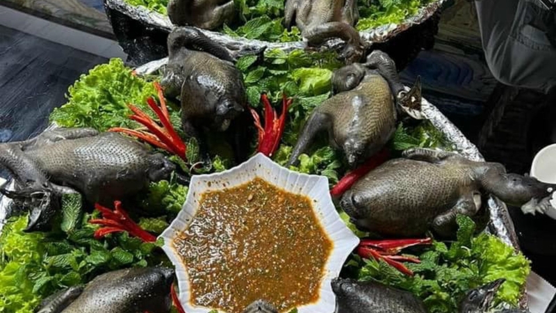 Mẹo để món gà ác luộc sả thơm ngon, tròn vị