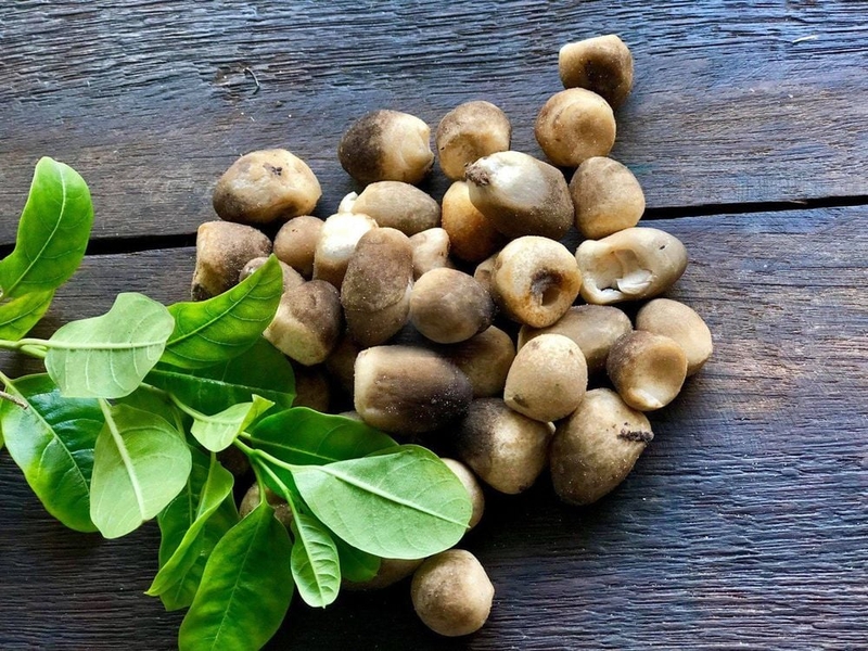 gà hấp mướp 10