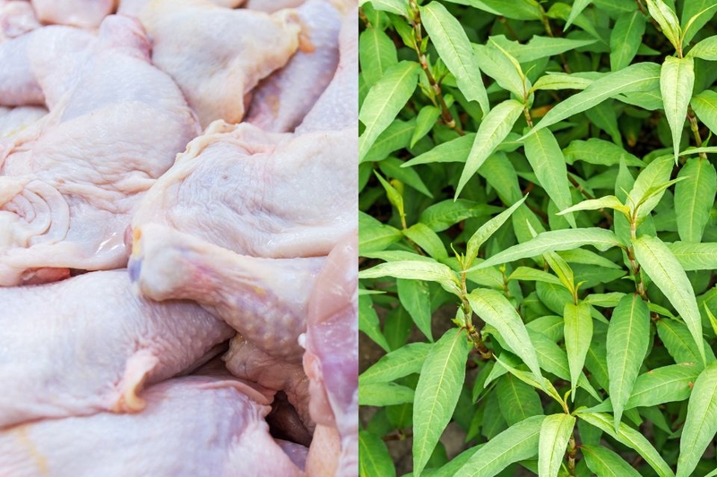 gà kho rau răm (ảnh 2)