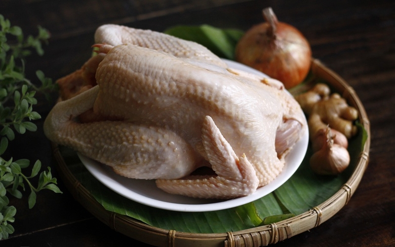 gà nấu cháo cối 10