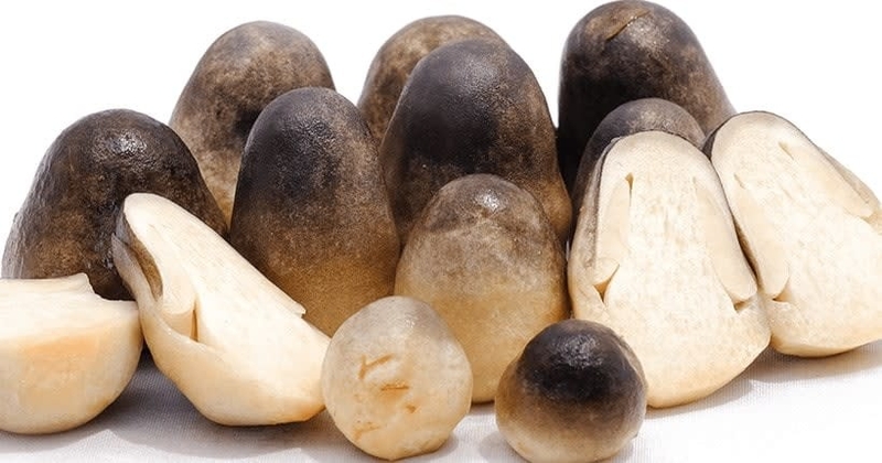 gà nấu cháo cối 11
