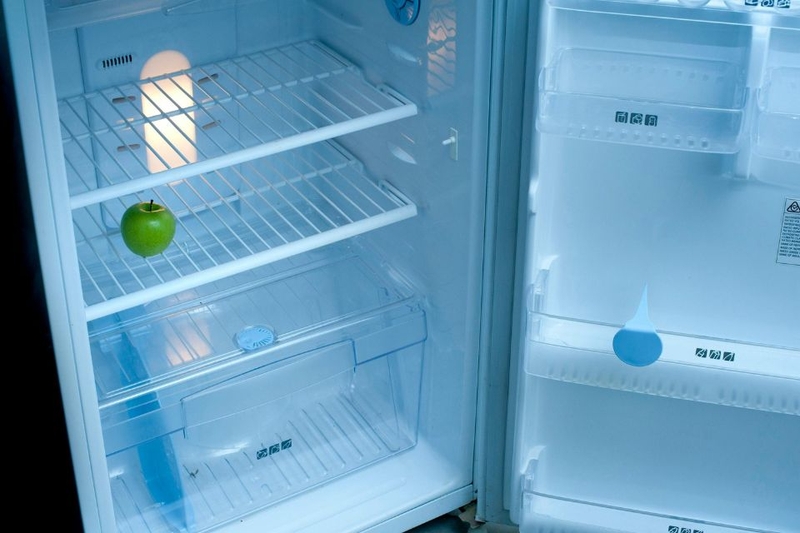 ga tủ lạnh có mấy loại (ảnh 1)
