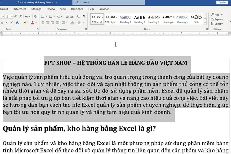 Gạch chân trong Word - Ảnh 04
