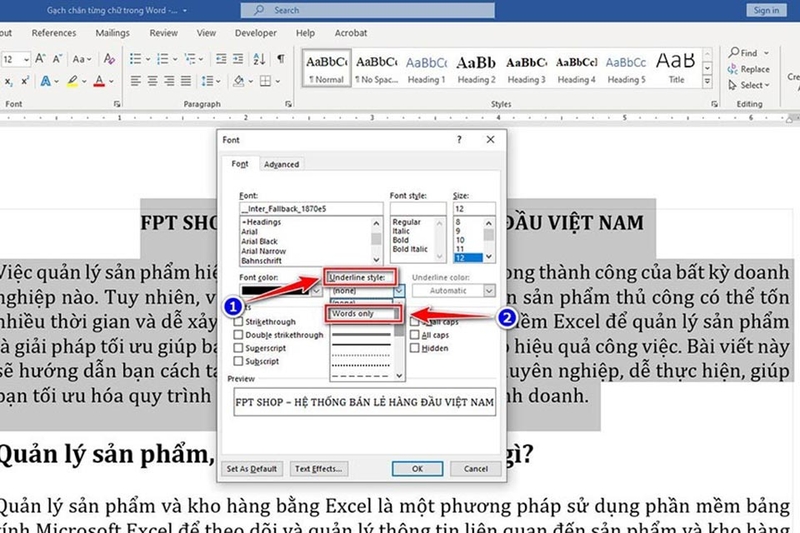 Gạch chân trong Word - Ảnh 06