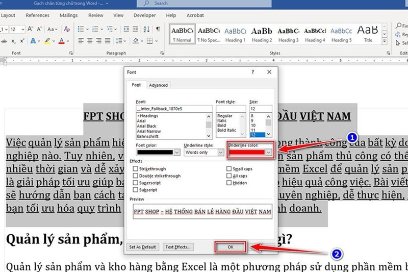 Gạch chân trong Word - Ảnh 07