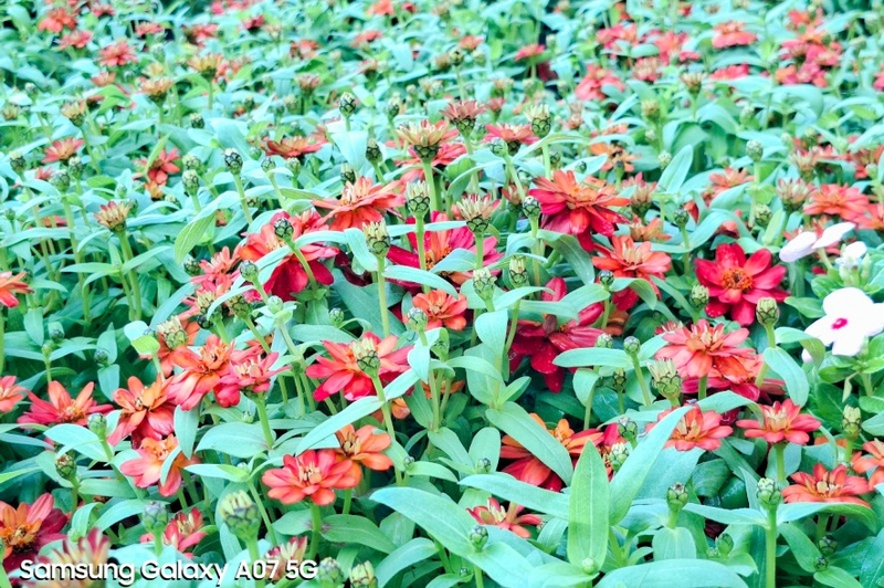 galaxy-a07-5g-va-loat-diem-cong-khien-ai-cung-gat-gu-b.jpg