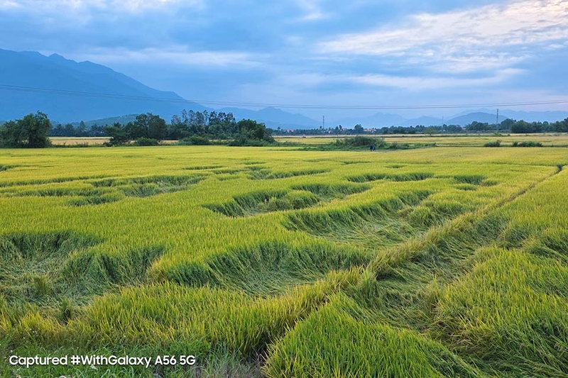 galaxy-a56-5g-so-mot-trong-tam-gia-10-trieu (5).jpg