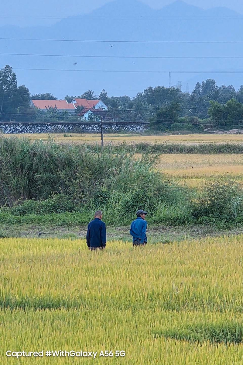 galaxy-a56-5g-so-mot-trong-tam-gia-10-trieu (6).jpg