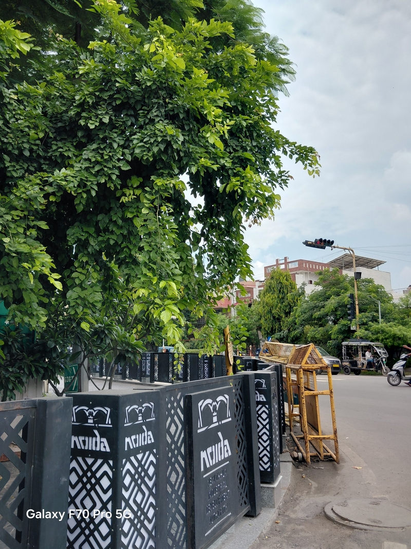 Chi tiết đánh giá camera Samsung Galaxy F70 Pro - 1