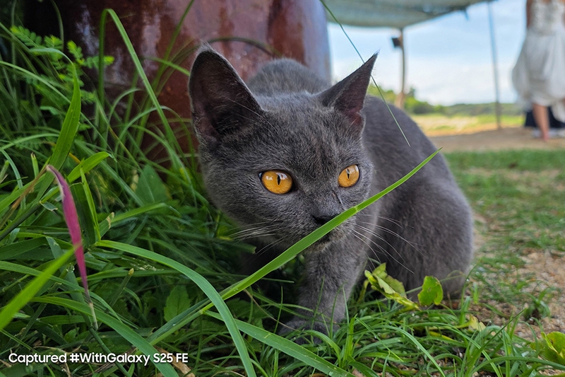 Samsung Galaxy S25 FE: Chiếc điện thoại đáng giá đến từng trải nghiệm 9