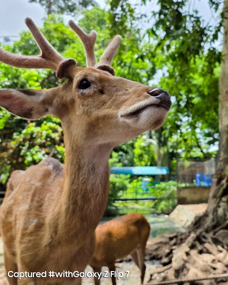 Samsung Galaxy Z Flip7: Khi giấc mơ về chiếc điện thoại gập lý tưởng đã thành hiện thực 2