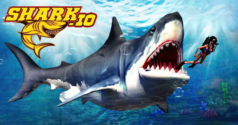 shark.io