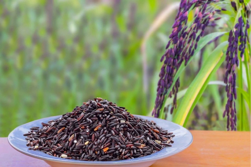 Gạo lứt tím than có giá bao nhiêu tiền/kg?