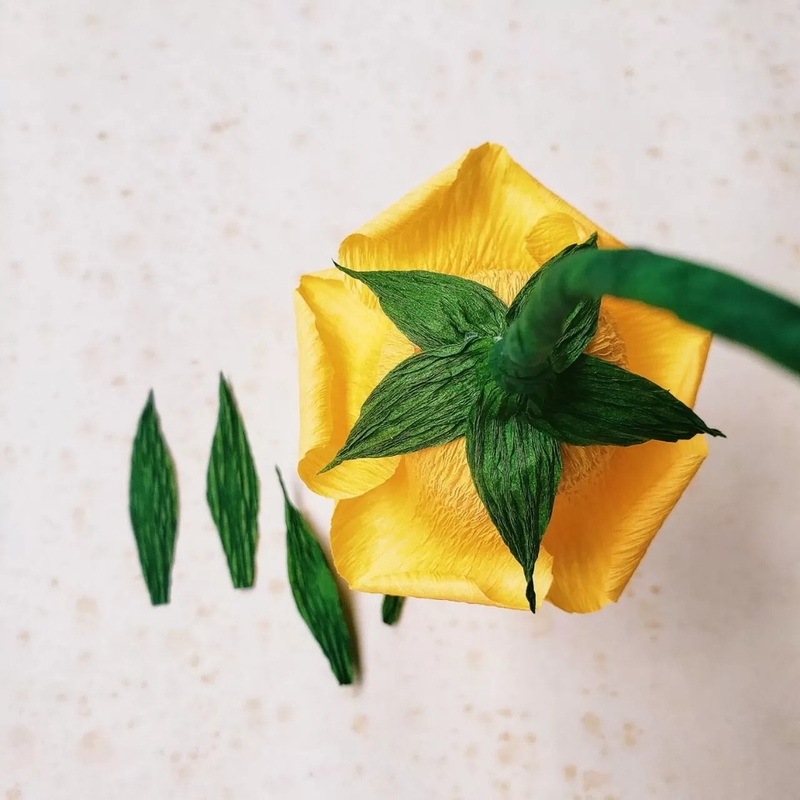 Hoàn thiện hoa và cành