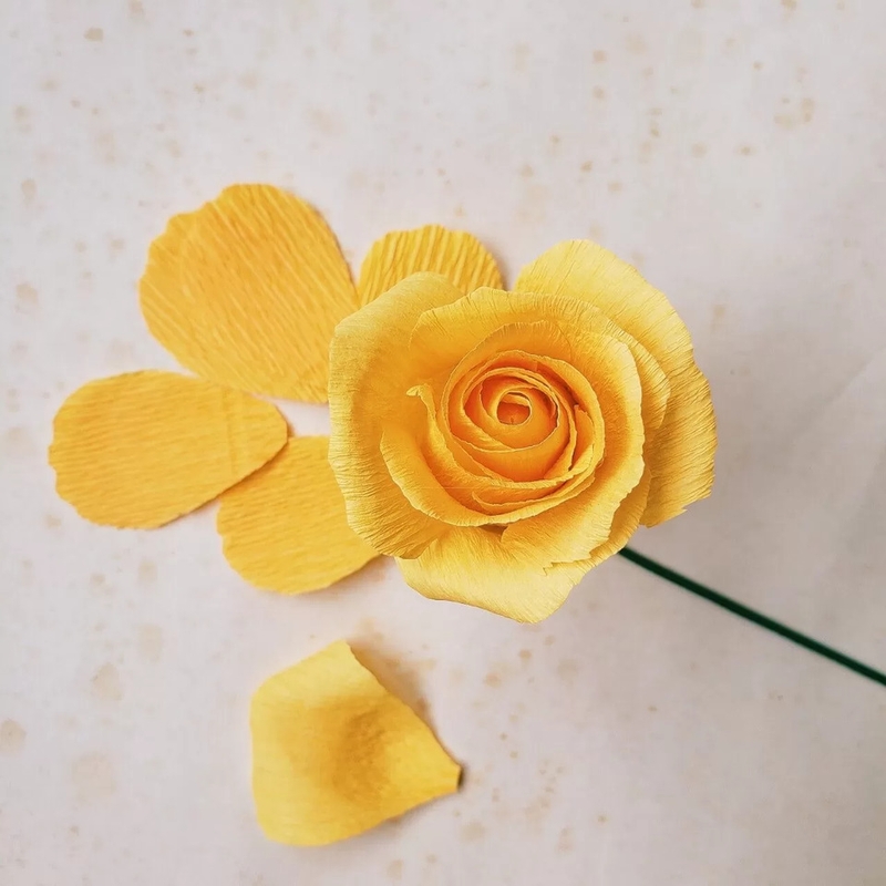 Xoắn nhẹ một đầu dải giấy