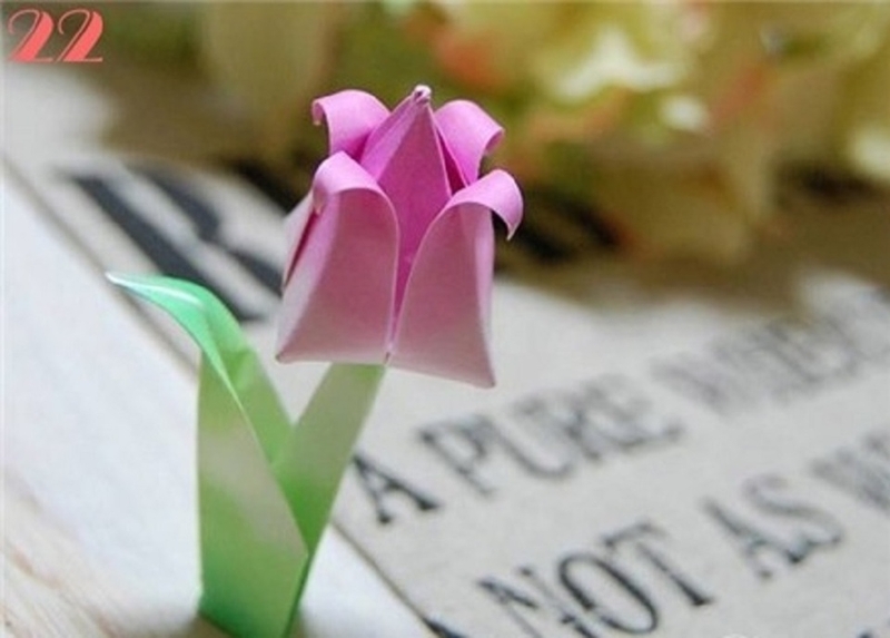 Hoàn thiện và trang trí