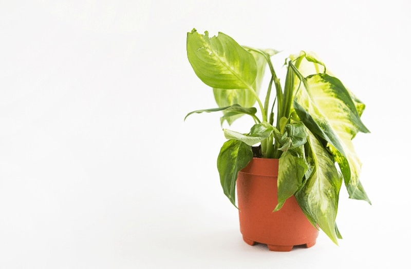 gặp xui xẻo (ảnh 2)