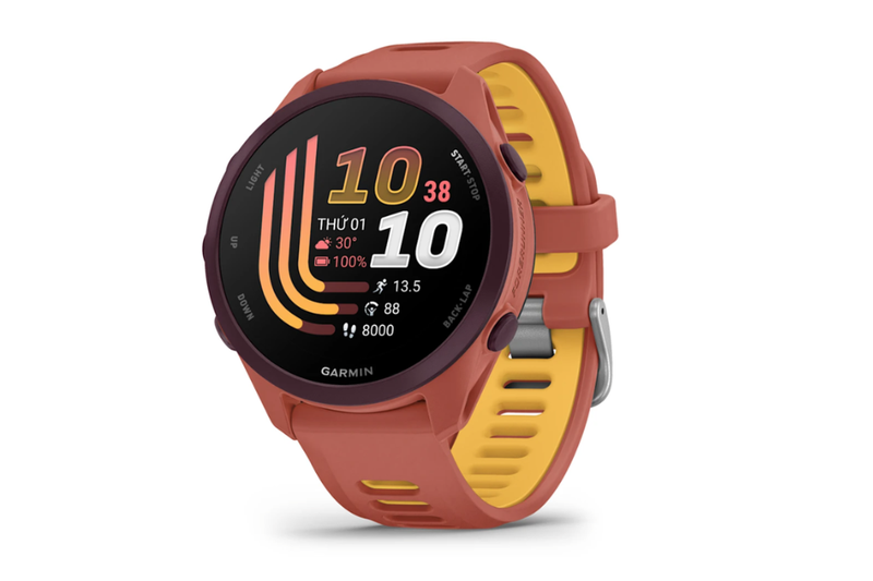 Garmin Forerunner 170 Music 2