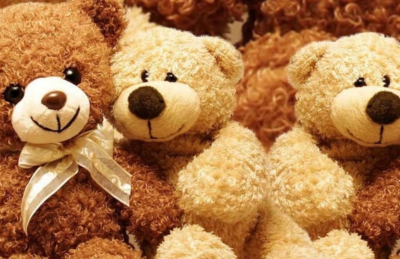 gấu bông tiếng anh là gì ảnh 2