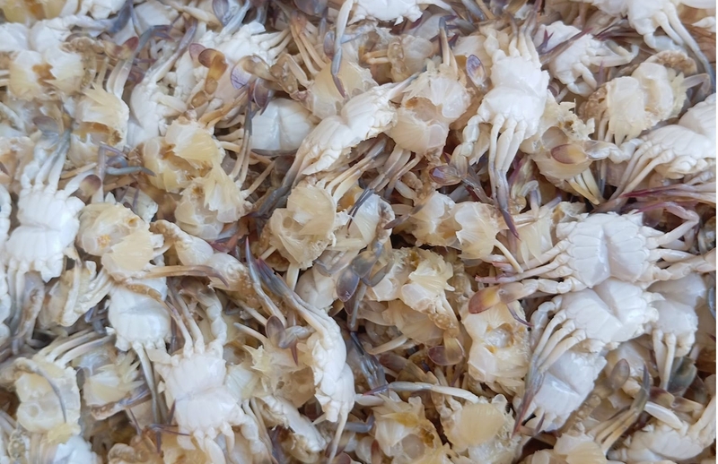ghẹ sữa rim (ảnh 2)