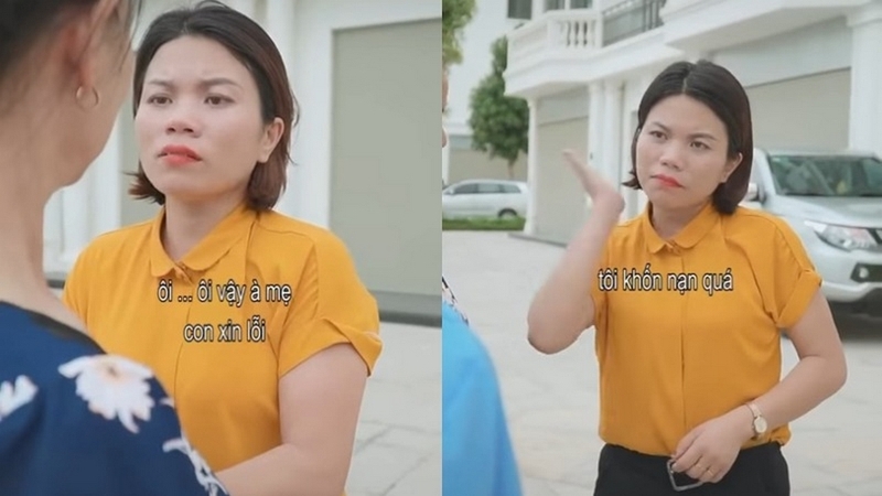 Giả trân là gì ảnh 3