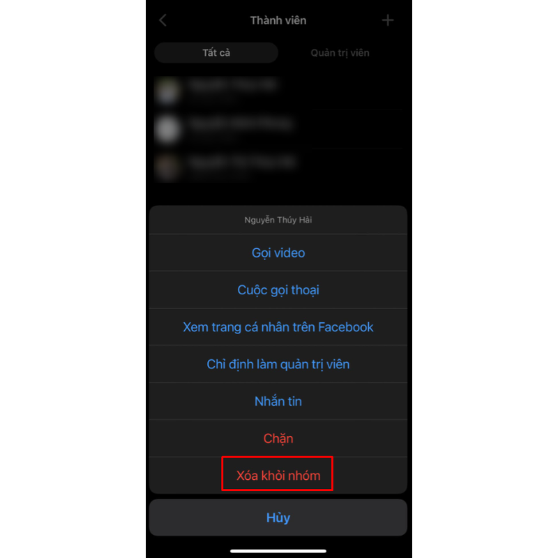 cách giải tán nhóm Messenger (hình 2)