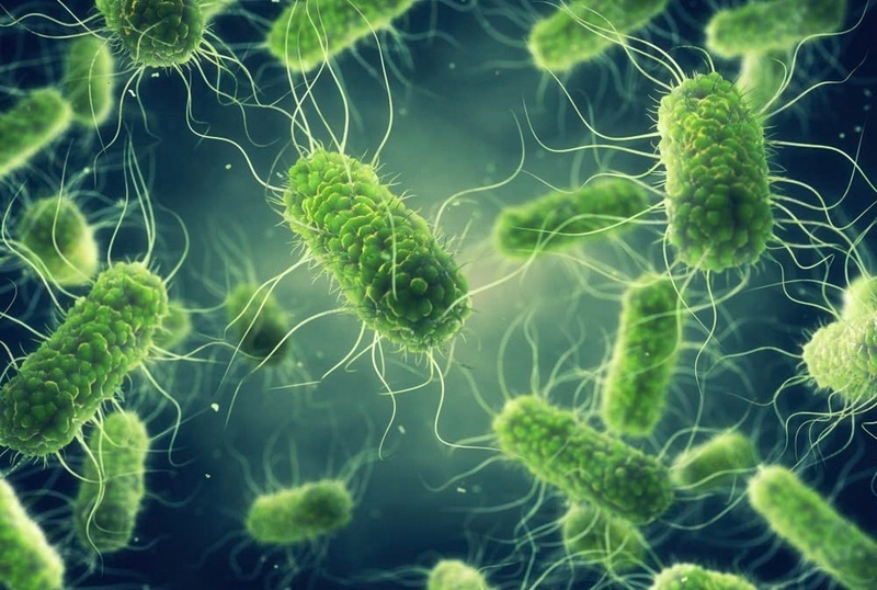 Giấm Tiều ảnh 3