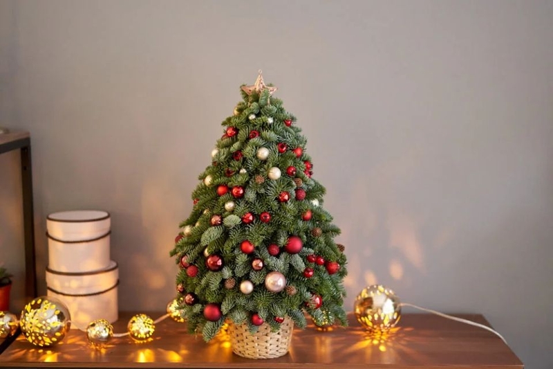 Cây thông Noel mini
