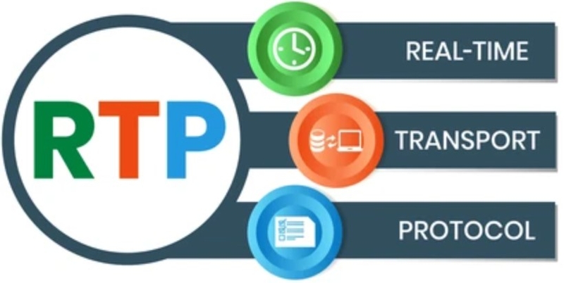 giao-thuc-rtp-la-gi-3.jpg