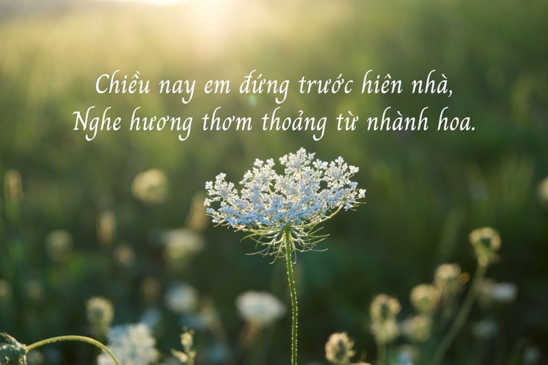 gieo vần là gì (ảnh 2)