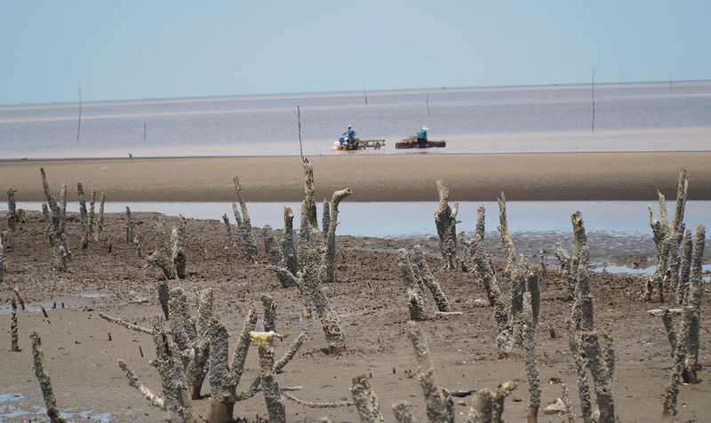 Gió Chướng là gì 2