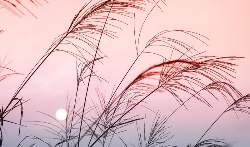 Gió Chướng là gì?