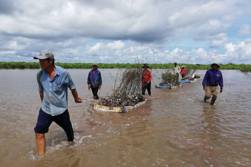 Gió Chướng là gì 1