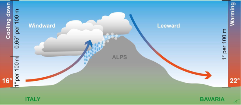 Gió phơn là gì 1