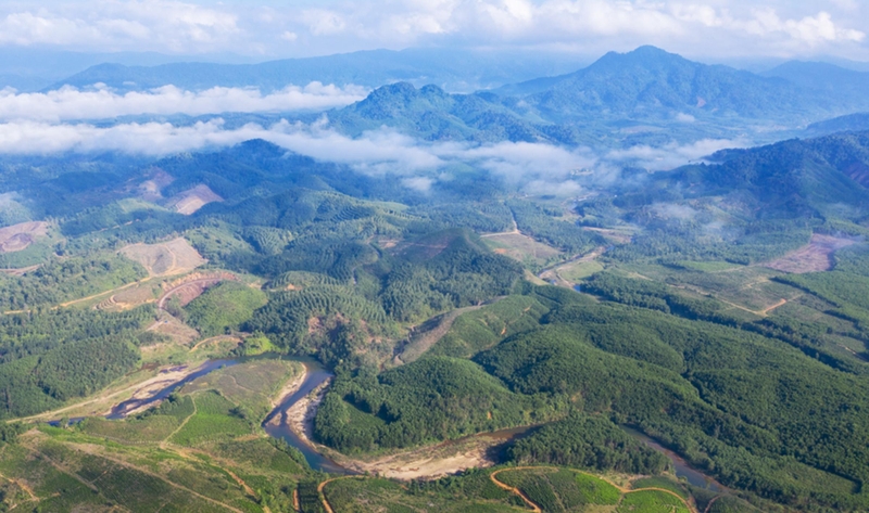 Gió phơn là gì 5