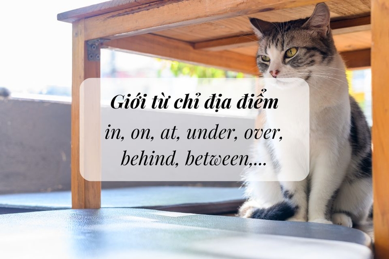 giới từ là gì (ảnh 3)