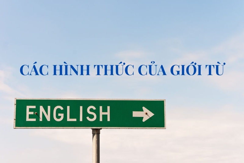 giới từ là gì (ảnh 7)