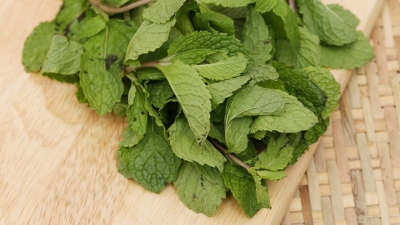 Cách chọn mua húng lủi tươi ngon