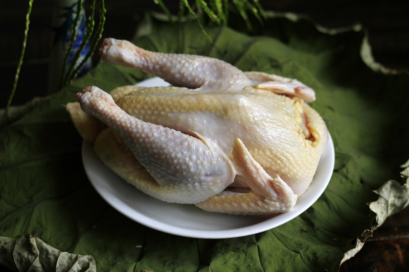 gỏi bưởi thịt gà 9