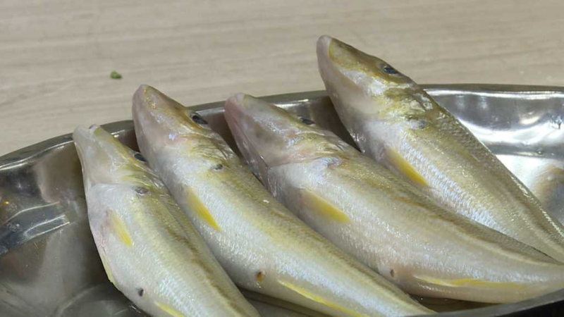 Gỏi cá đục 1