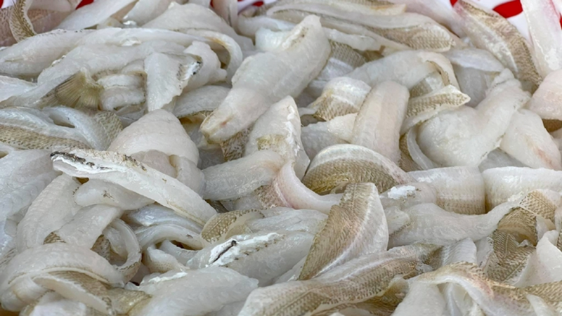 Gỏi cá đục 2