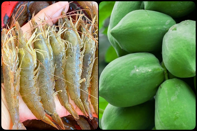 gỏi đu đủ tôm đất ảnh 9