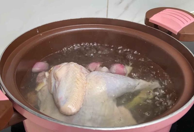 gỏi gà rau nhút 4