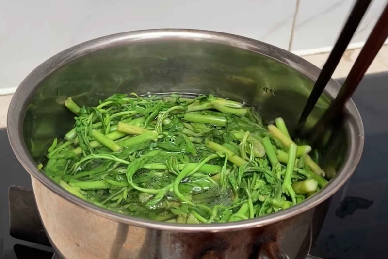 gỏi gà rau nhút 6