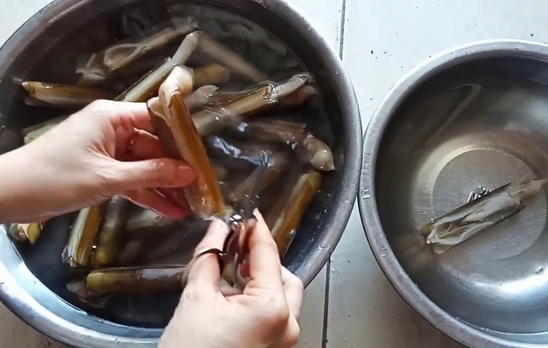 Gỏi ốc móng tay ảnh 2