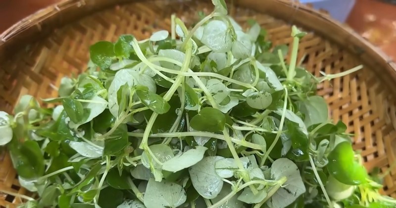 gỏi rau càng cua ức vịt hình 6