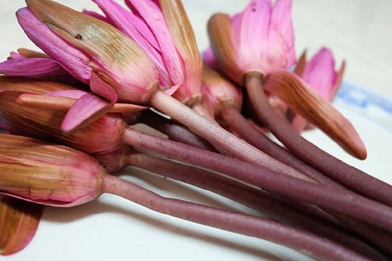 Gỏi tép bông điên điển ảnh 3