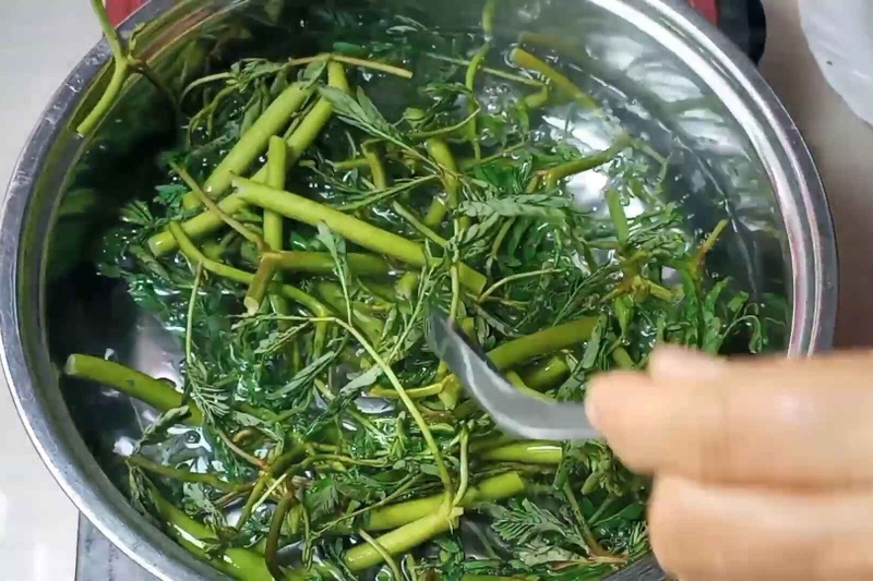 gỏi tôm rau nhút hình 4